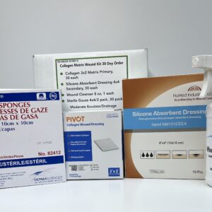 Collegen Matrix with Abs Silcone Dressing